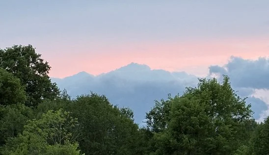 Кламп Бондарчук Алёна