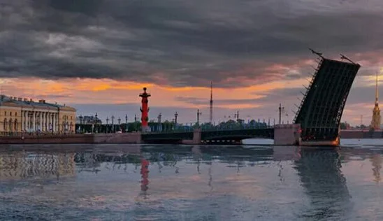 Кламп Плисс Маргарита