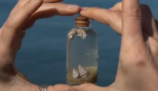 Кламп Суслова  Светлана  2